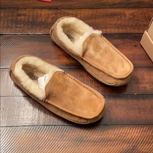UGG Ascot Men’s Slippers